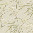 AE02621 Palermo Pistachio Aeterna Wallpaper by Sketch Twenty 3