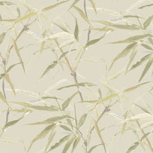 AE02621 Palermo Pistachio Aeterna Wallpaper by Sketch Twenty 3