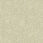 AE02628 Trento Meadow Aeterna Wallpaper by Sketch Twenty 3