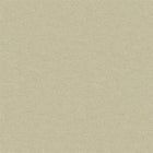 AE02637 Umbra Golden Aeterna Wallpaper by Sketch Twenty 3