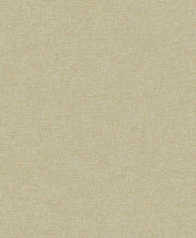 AE02637 Umbra Golden Aeterna Wallpaper by Sketch Twenty 3