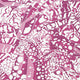 Puccini Nara Fuchsia Fabric by Anna French