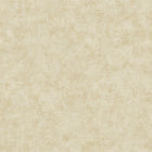 AM22009-01 Metallic Plaster Elegance Wallpaper By Galerie