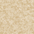 AM22009-02 Metallic Plaster Elegance Wallpaper By Galerie