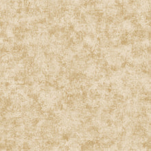 AM22009-02 Metallic Plaster Elegance Wallpaper By Galerie