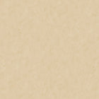 AM25302 Plain Shades of Colour Wallpaper By Galerie