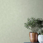 AM25304 Plain Shades of Colour Wallpaper By Galerie