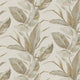 Seville Almond Wallpaper By Sketch Twenty 3