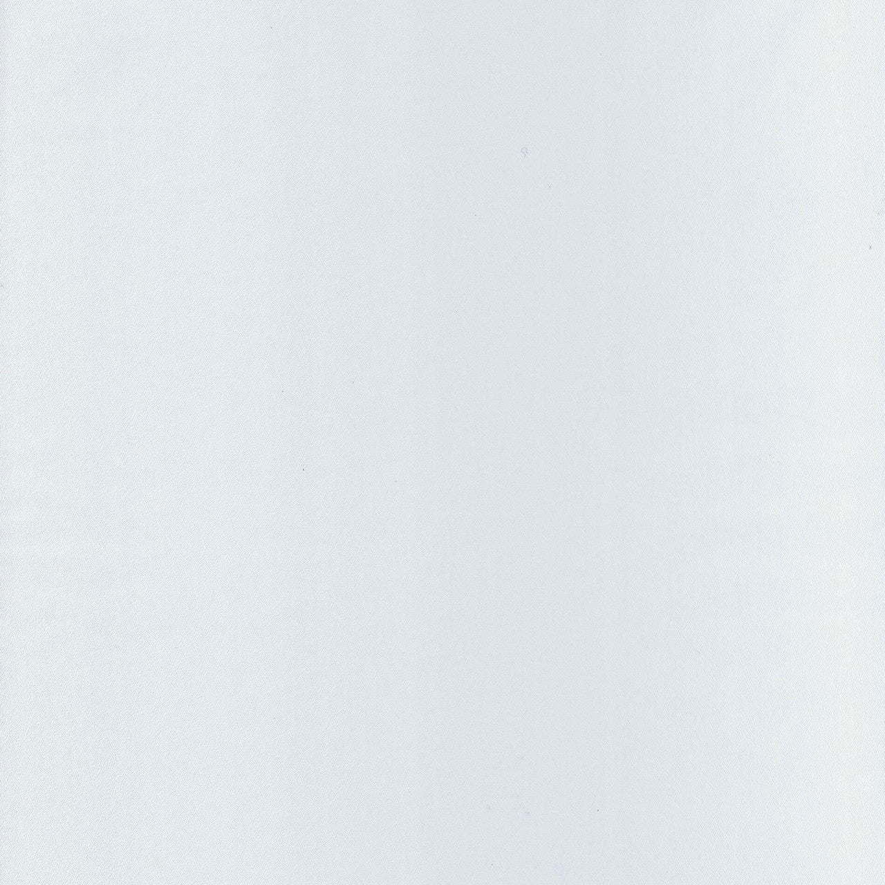 ARN64520000 Life Wallpaper by Caselio