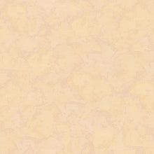 16902-0 Casual Living Wallpaper by A S Creation