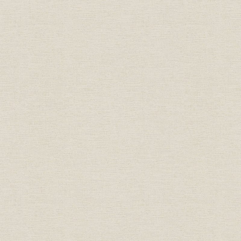 306889 Textured Grey Wallpaper by A S Creation