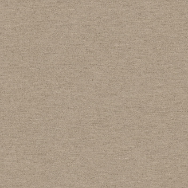 30689-3 Pint Walls Wallpaper by A S Creation