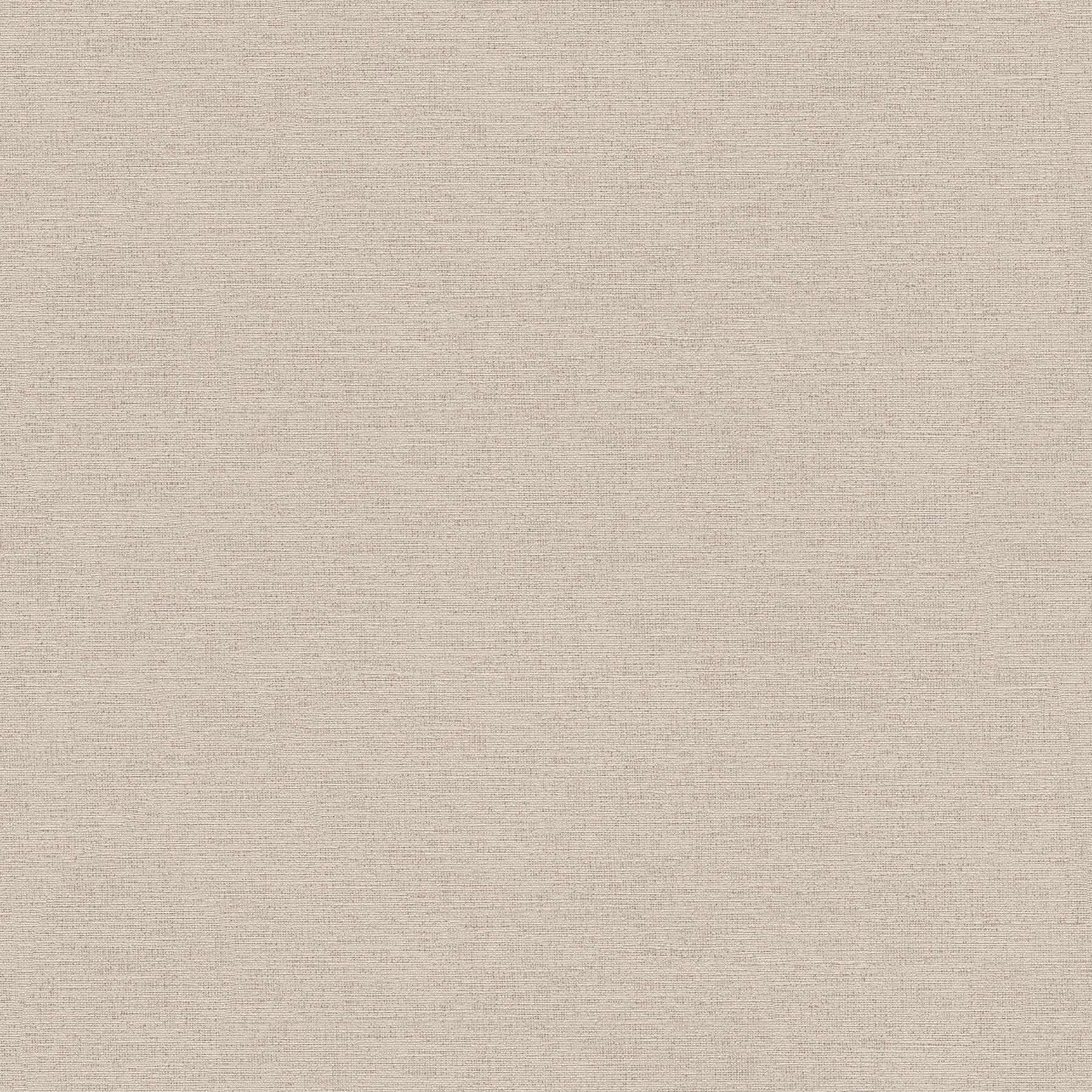 306894 Plain Colour Grey Wallpaper by A S Creation