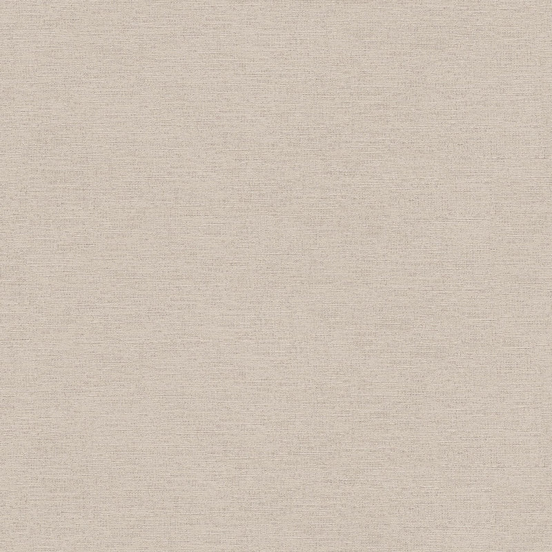306894 Plain Colour Grey Wallpaper by A S Creation