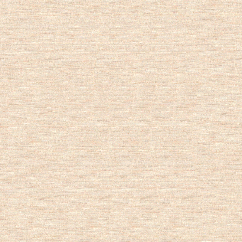 30689-6 Pint Walls Wallpaper by A S Creation