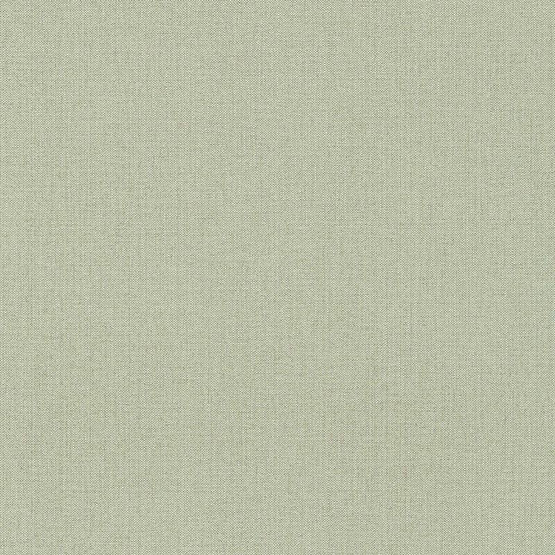 36378-7 Attractive 2 Wallpaper by A S Creation