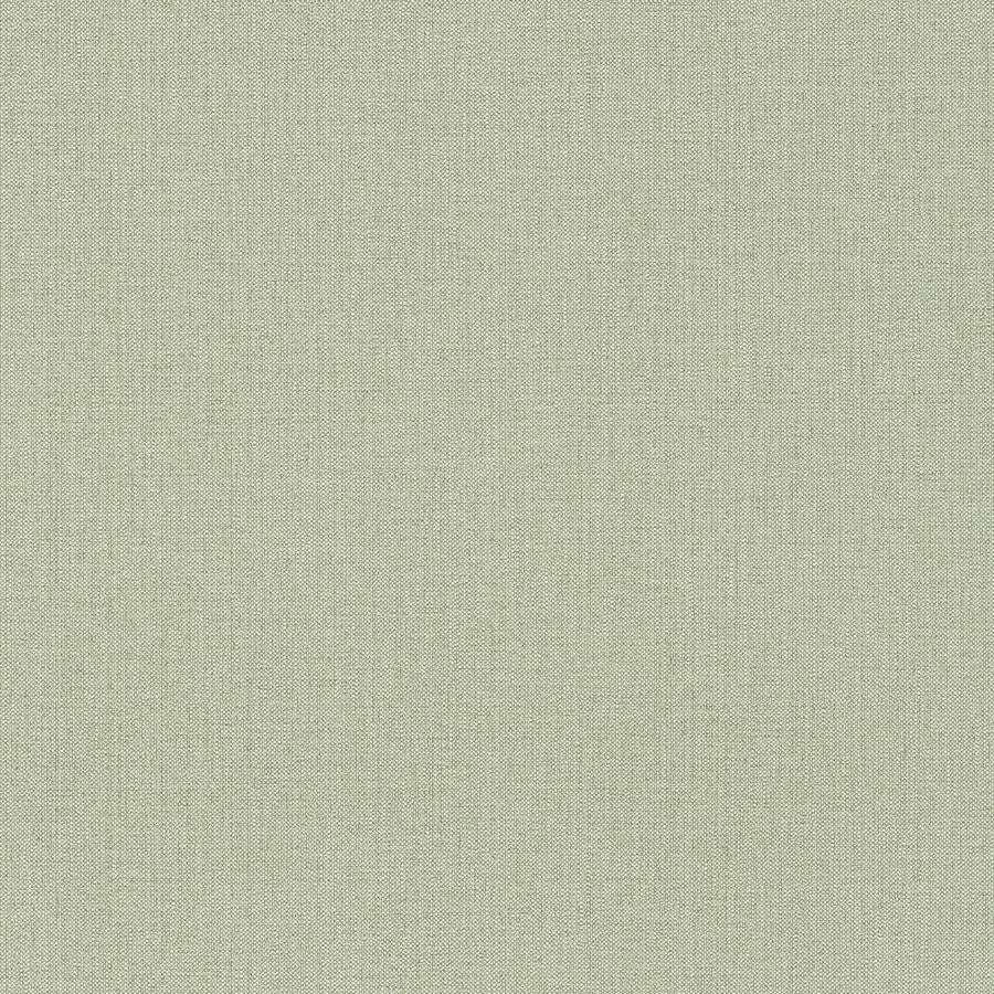 36378-7 Attractive 2 Wallpaper by A S Creation