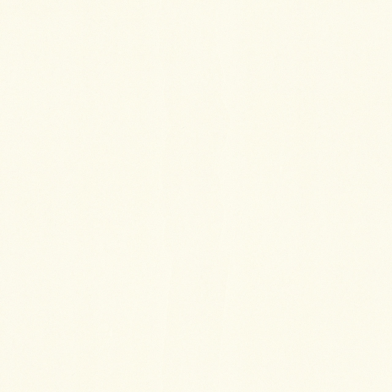 3680-03 Pint Walls Wallpaper by A S Creation