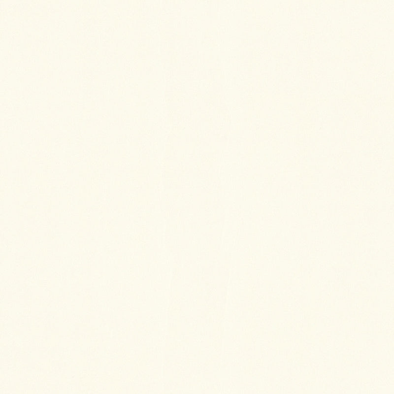 3680-03 Pint Walls Wallpaper by A S Creation