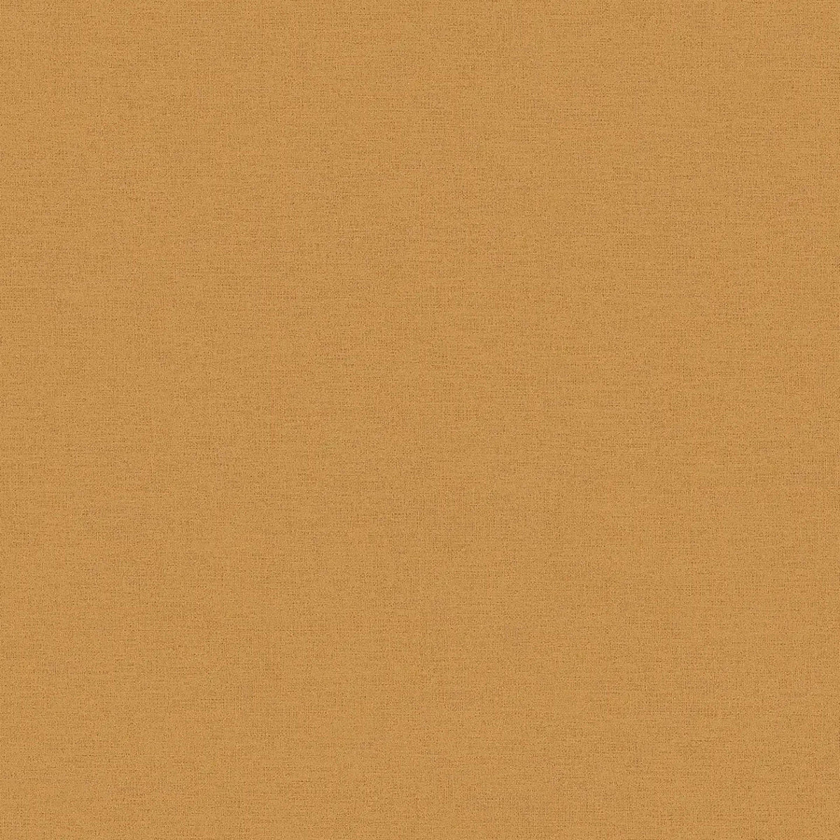 The Wall 4 Wallpaper by A S Creation