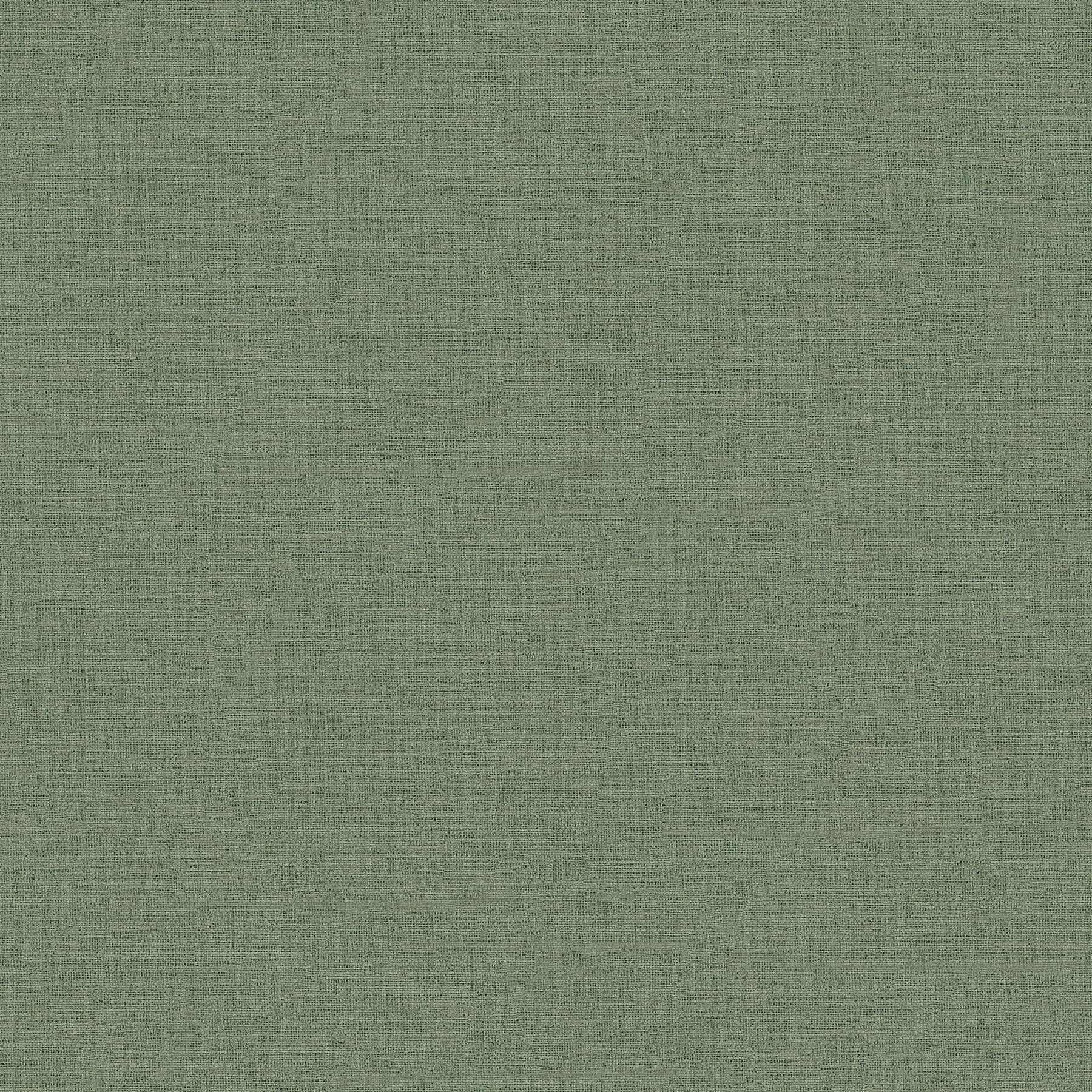 371787 Plain Colour Green Wallpaper by A S Creation