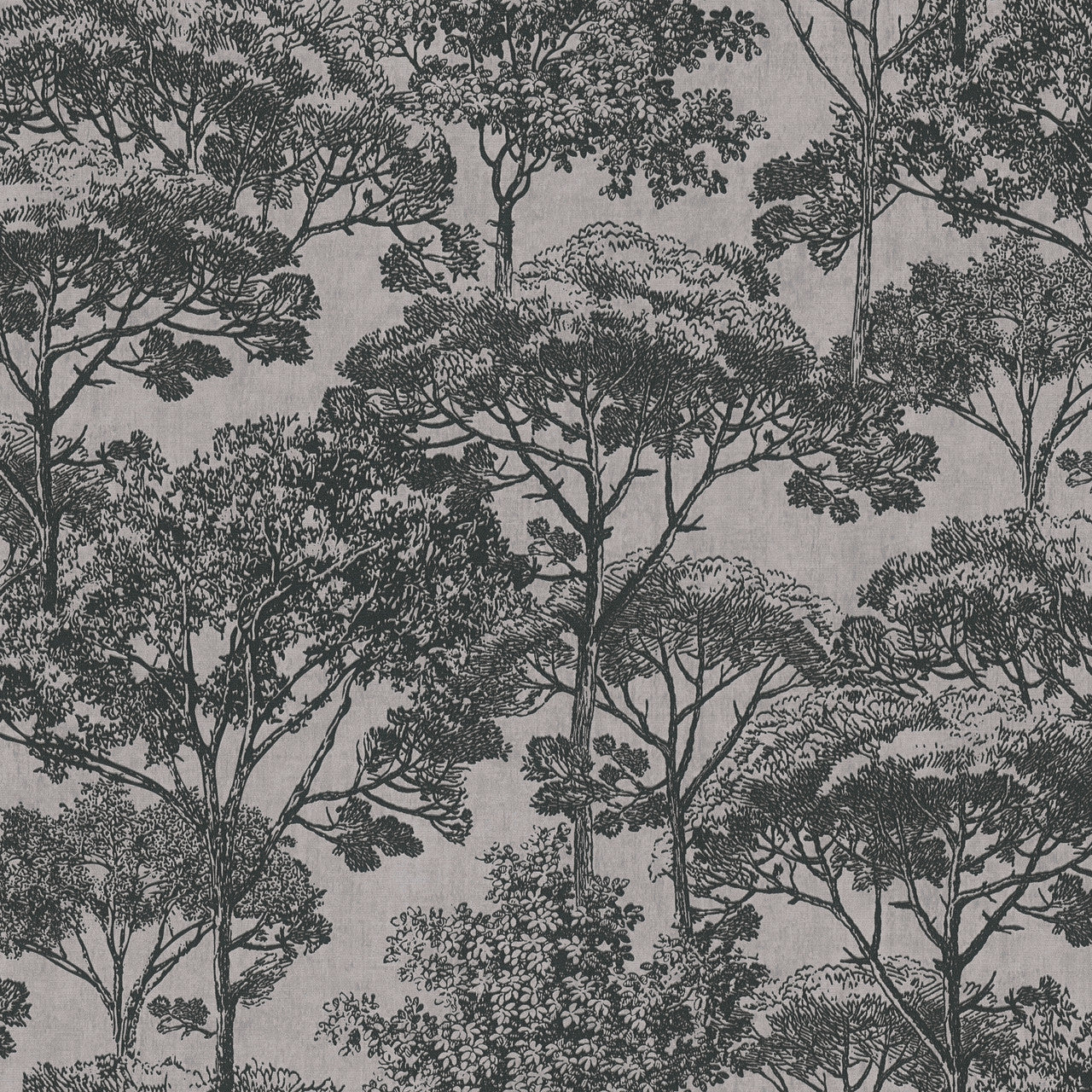 Cuba Wallpaper by A S Creation