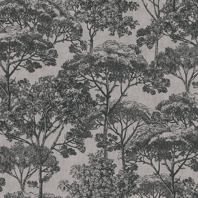 Cuba Wallpaper by A S Creation