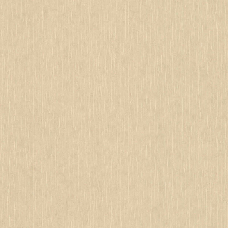 38383-3 Sand Structure Versace 5 Wallpaper By A S Creation