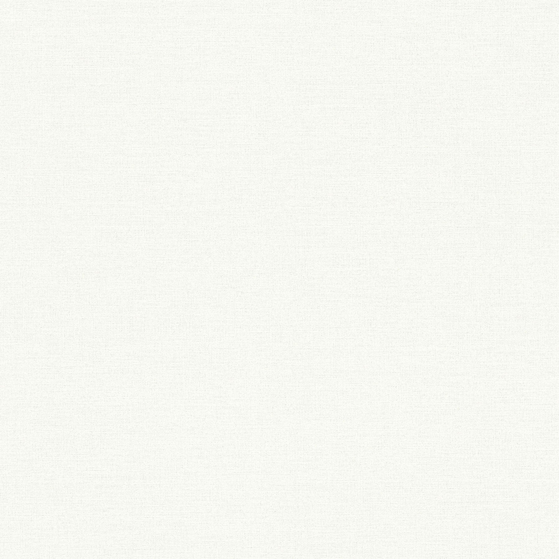389033 Plain Colour Grey Cream Wallpaper by A S Creation