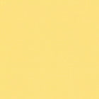 389036 Plain Colour Yellow Wallpaper by A S Creation