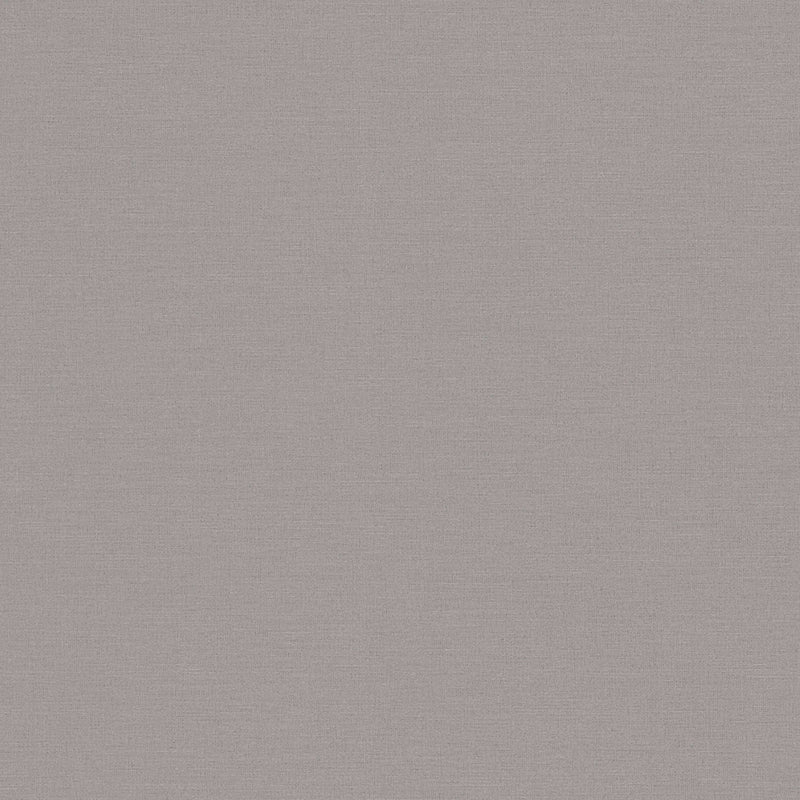 389037 Plain Colour Grey Wallpaper by A S Creation