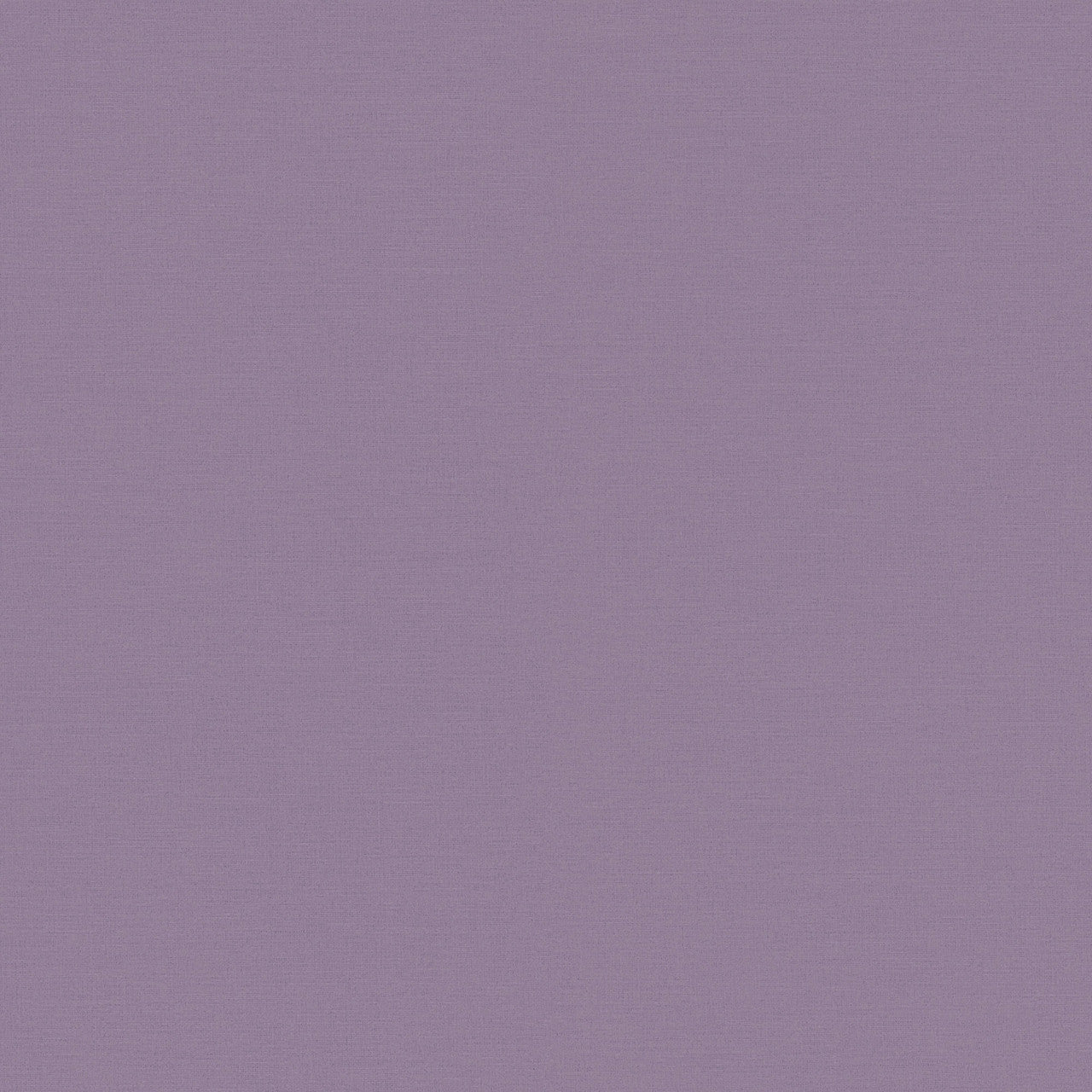 389039 Drawn into Nature Wallpaper by A S Creation