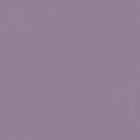 389039 Drawn into Nature Wallpaper by A S Creation