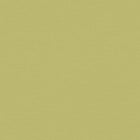 390974 Plain Colour Green Wallpaper by A S Creation