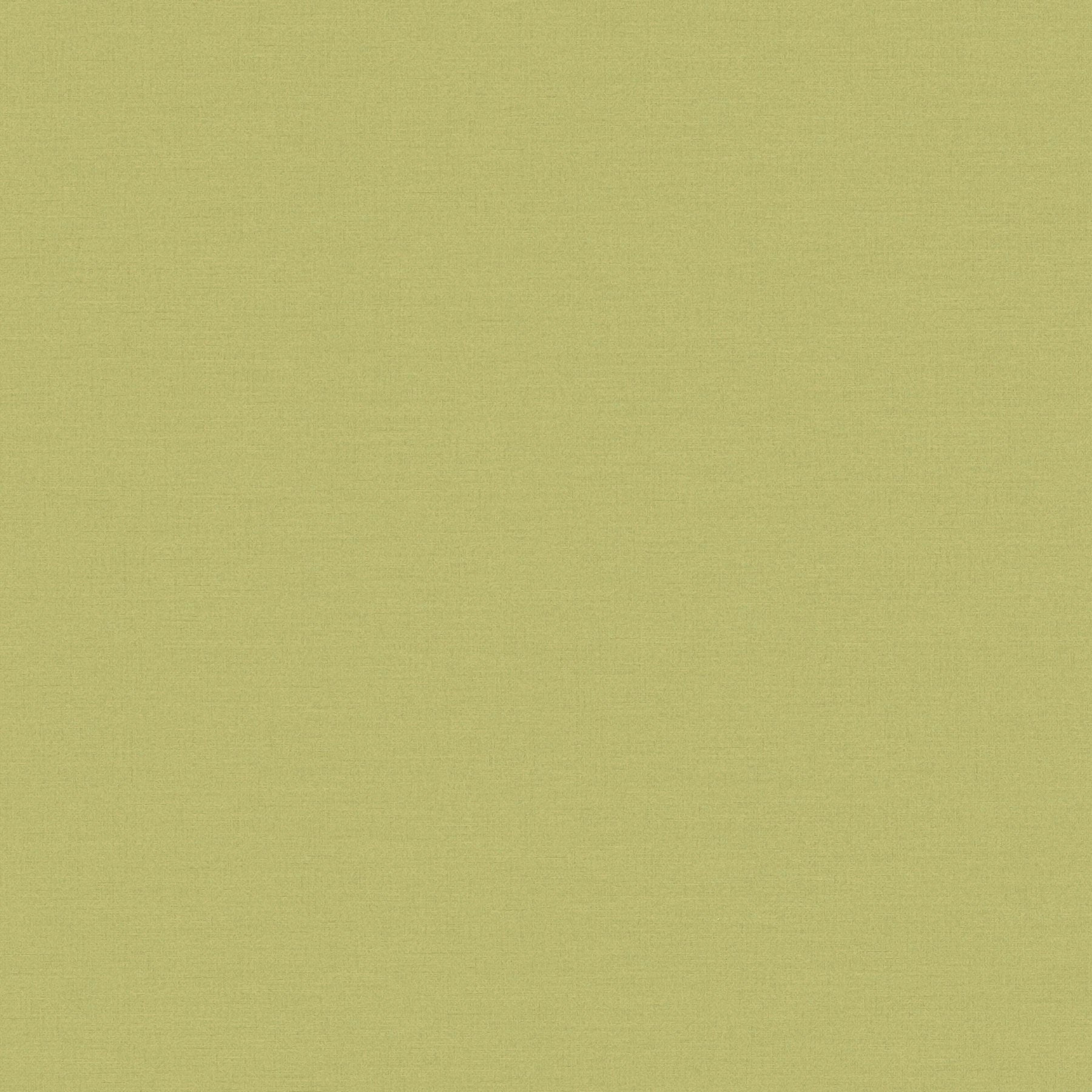 390974 Plain Colour Green Wallpaper by A S Creation