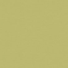 390974 Plain Colour Green Wallpaper by A S Creation