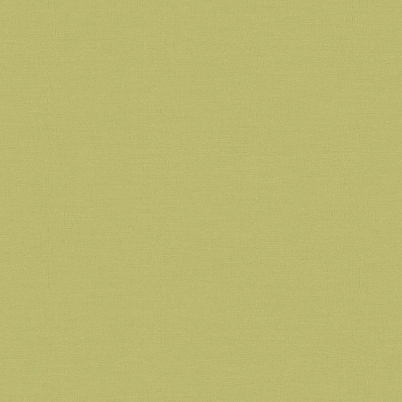 390974 Plain Colour Green Wallpaper by A S Creation