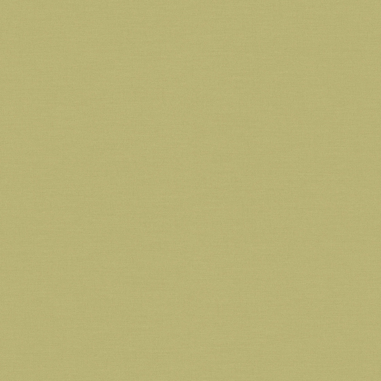 390974 Drawn into Nature Wallpaper by A S Creation