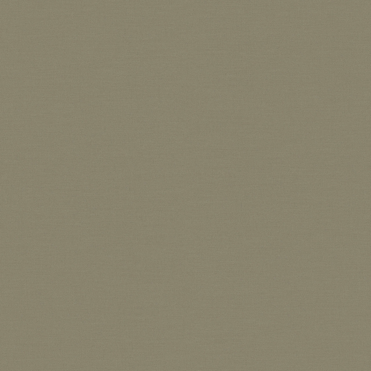 390975 Drawn into Nature Wallpaper by A S Creation