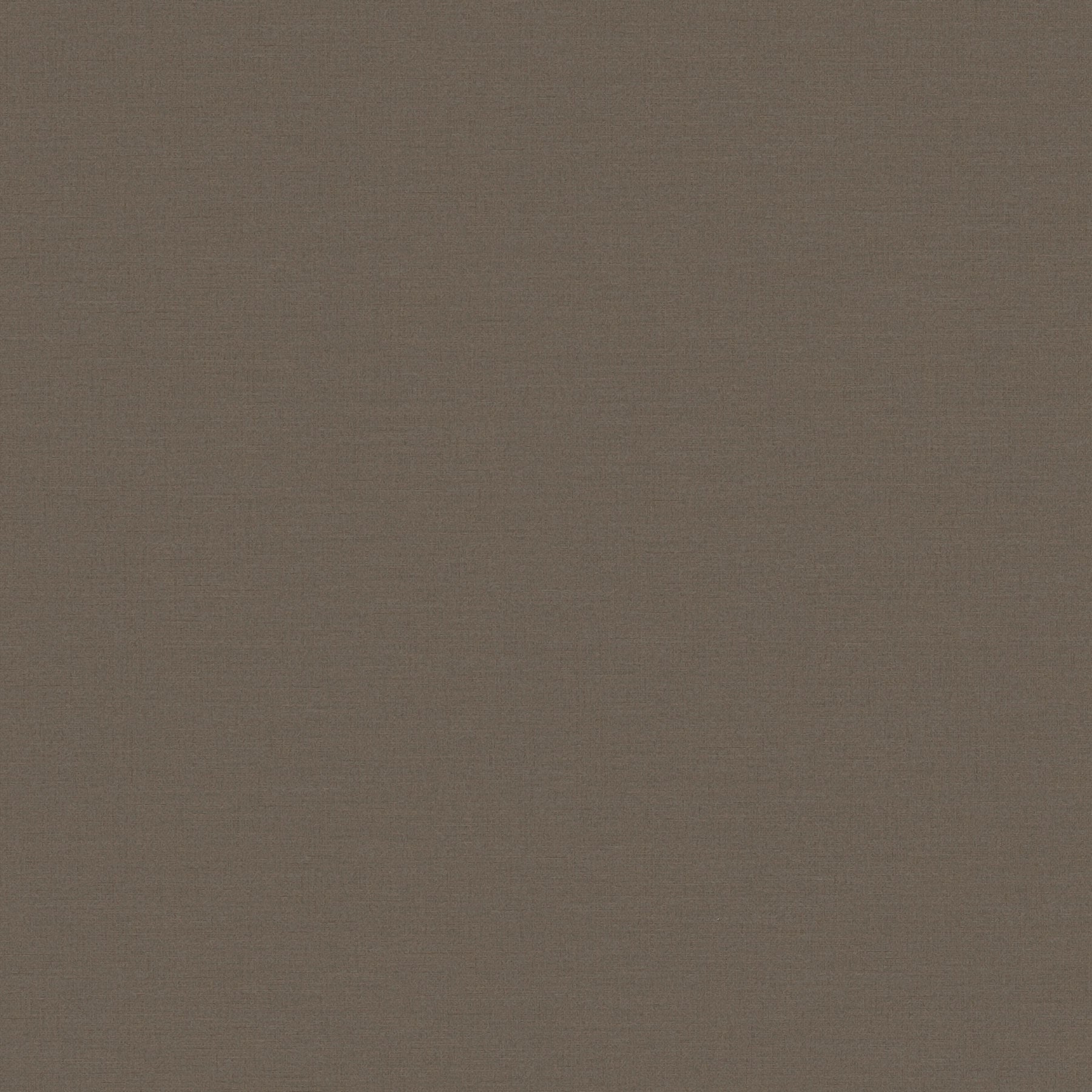 390977 Plain Colour Brown Wallpaper by A S Creation