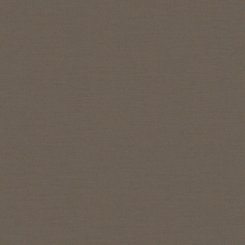 390977 Plain Colour Brown Wallpaper by A S Creation