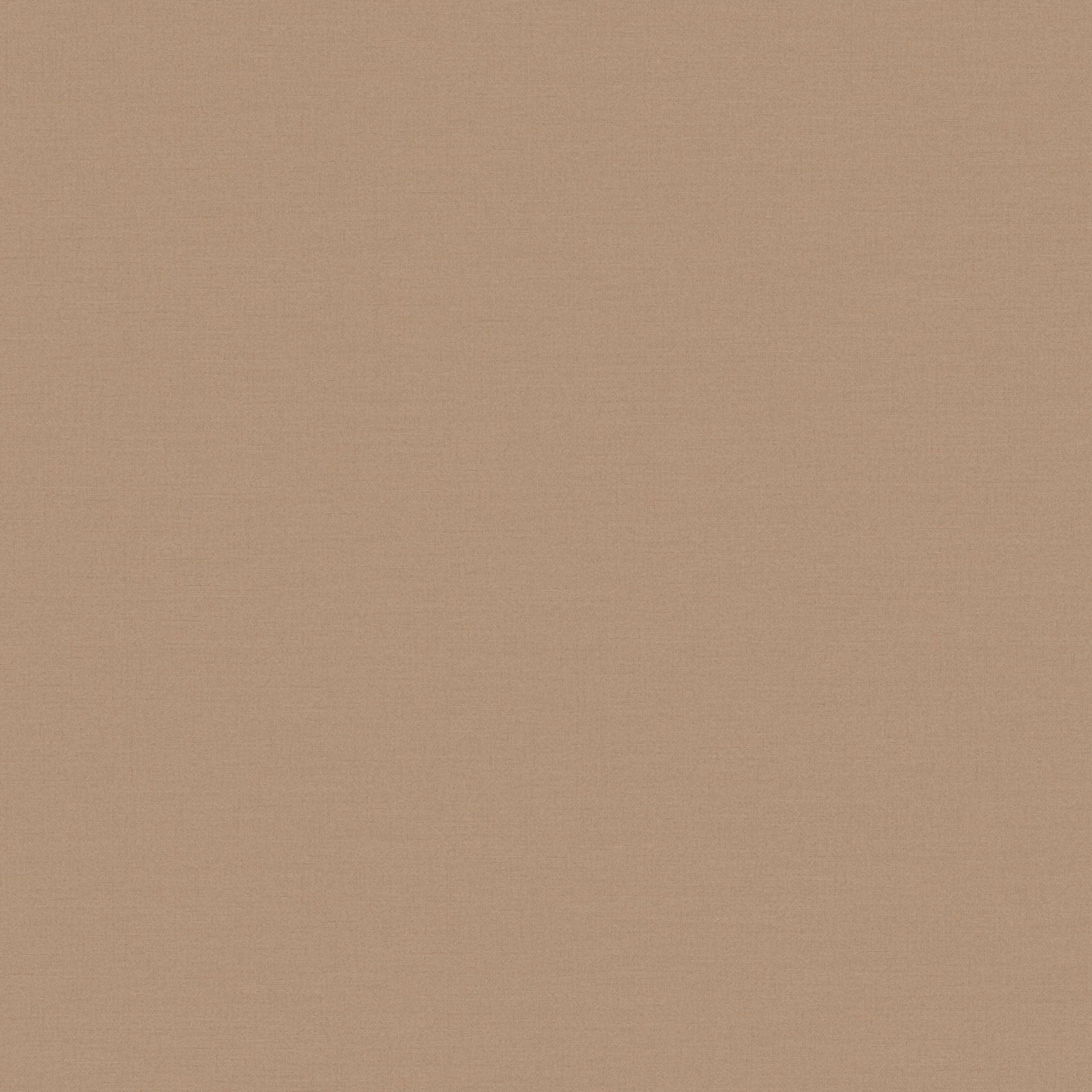 390983 Plain Colour Brown Wallpaper by A S Creation