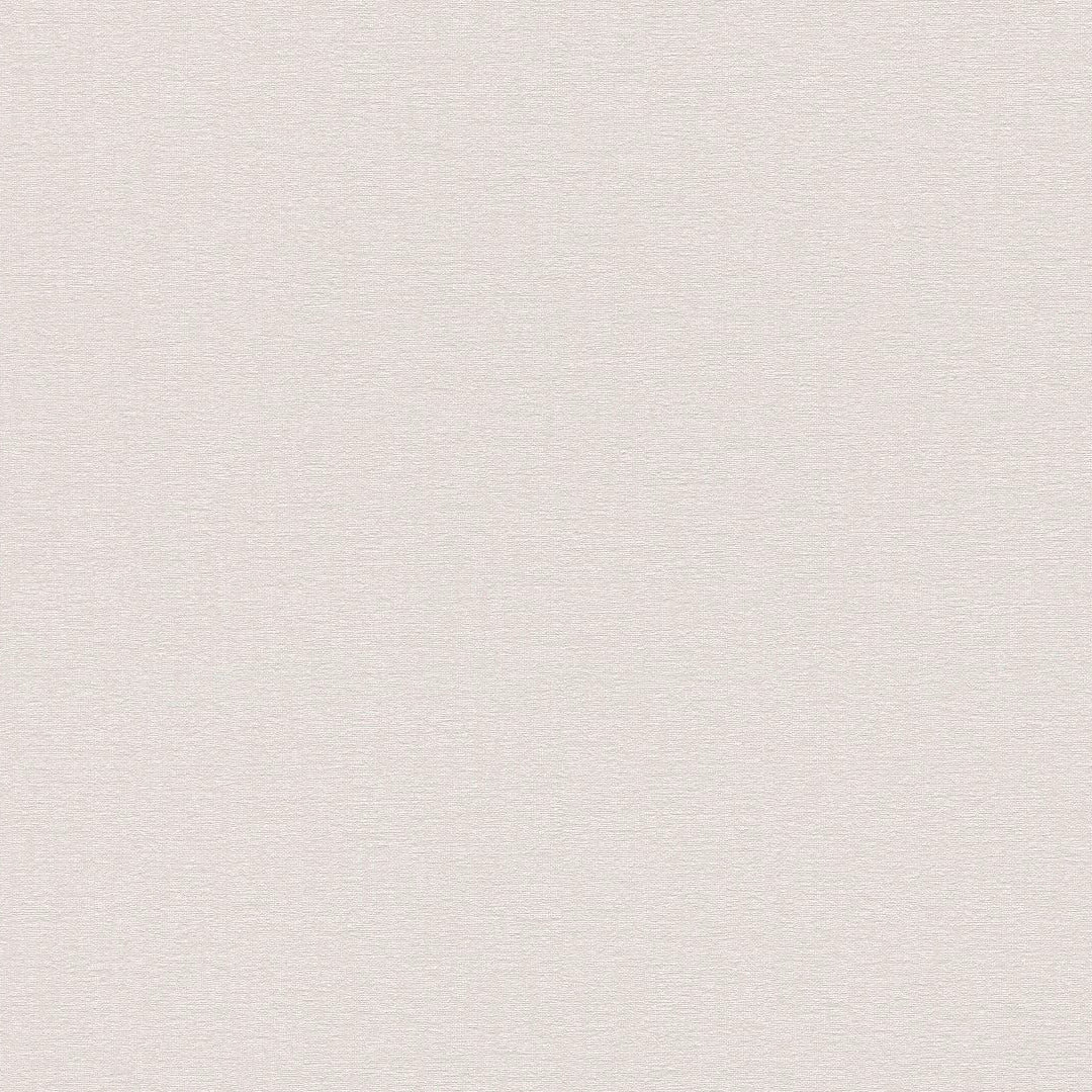 AS396551 Plain Colour Grey Vibes & Styles Wallpaper by A S Creation