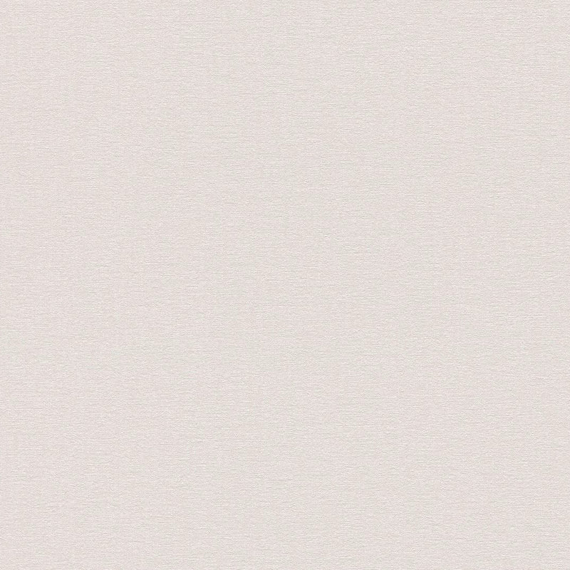 AS396551 Plain Colour Grey Vibes & Styles Wallpaper by A S Creation