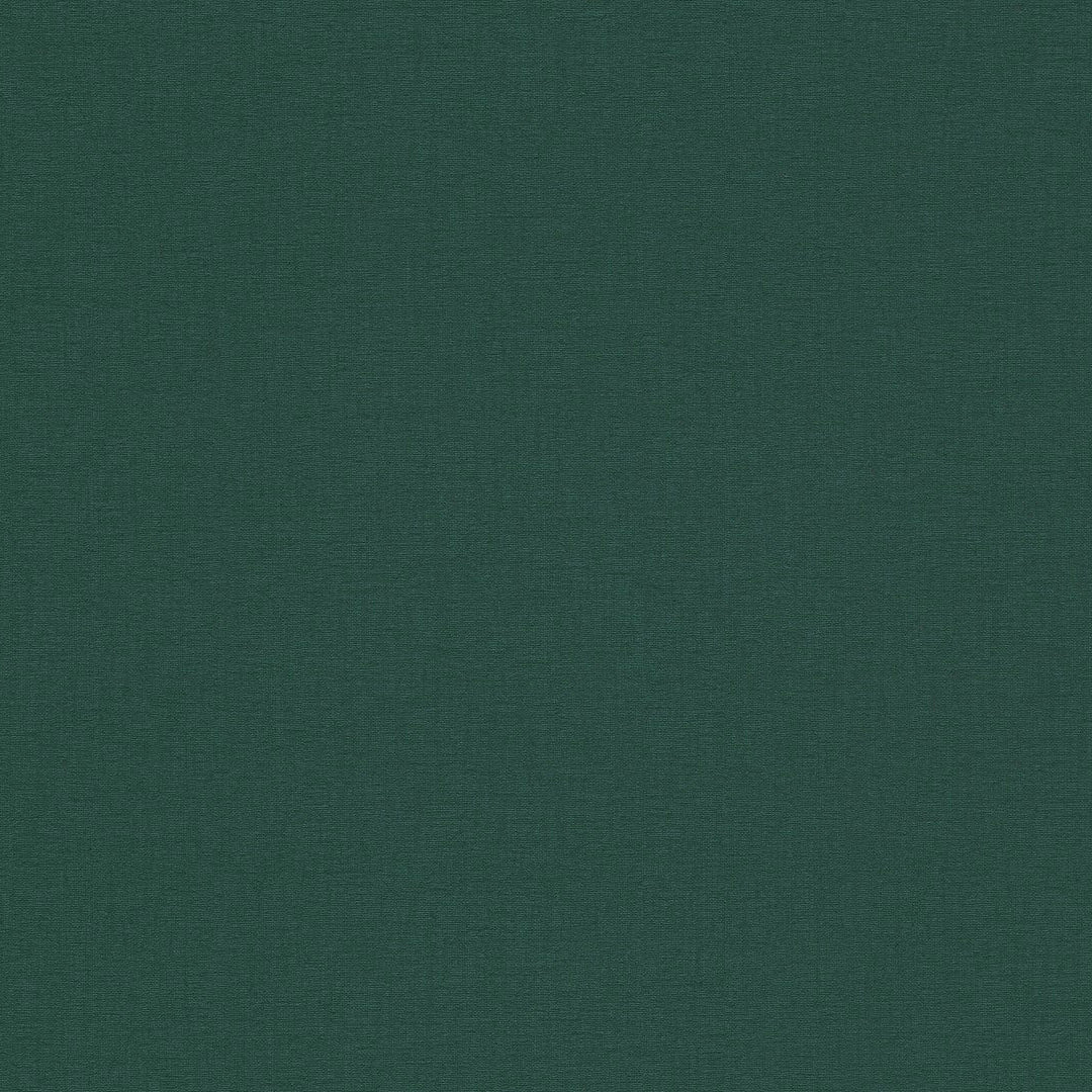 AS396555 Plain Colour Green Vibes & Styles Wallpaper by A S Creation