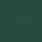 AS396555 Plain Colour Green Vibes & Styles Wallpaper by A S Creation