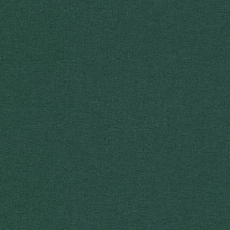 AS396555 Plain Colour Green Vibes & Styles Wallpaper by A S Creation