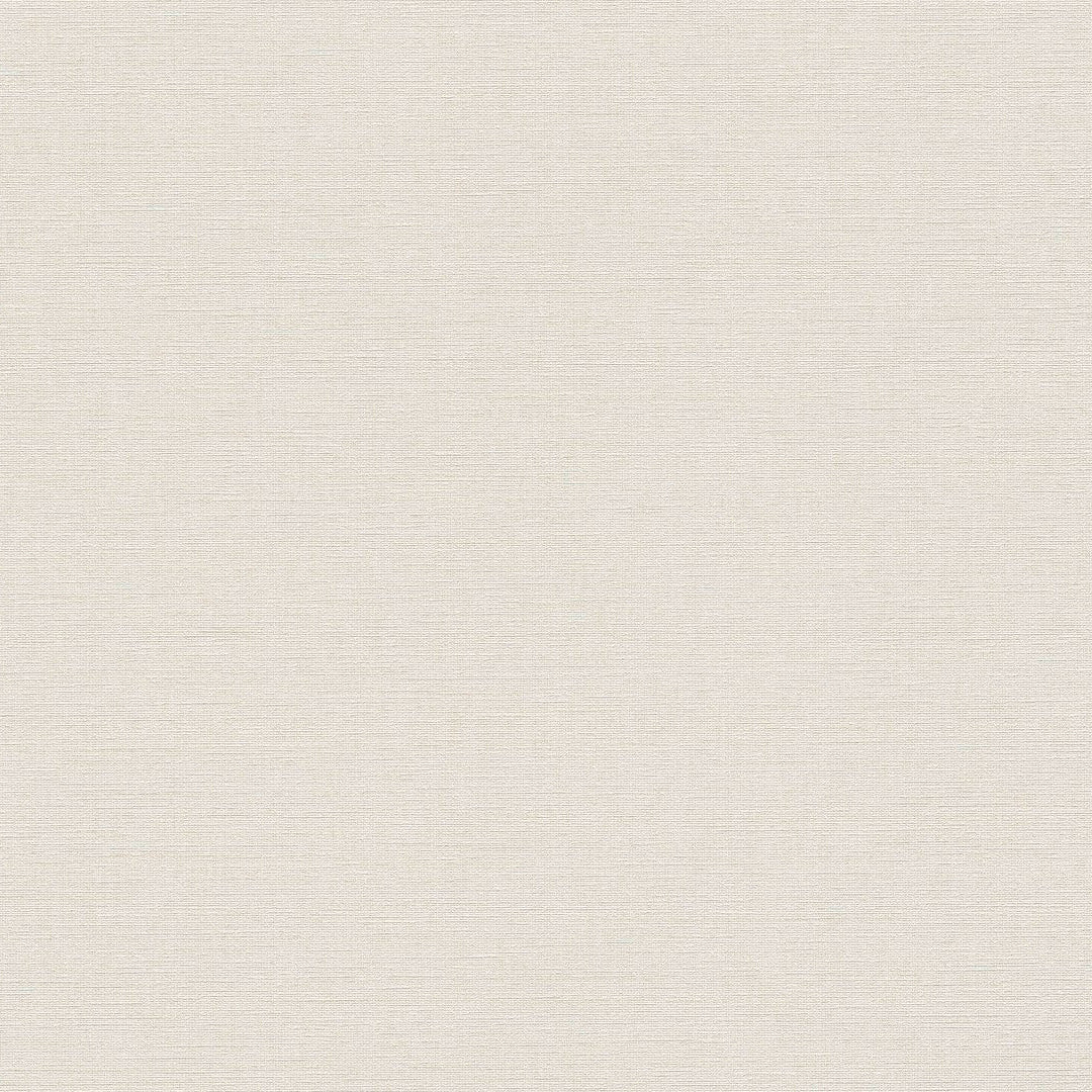 AS399881 Plain Colour White Cream Vibes & Styles Wallpaper by A S Creation