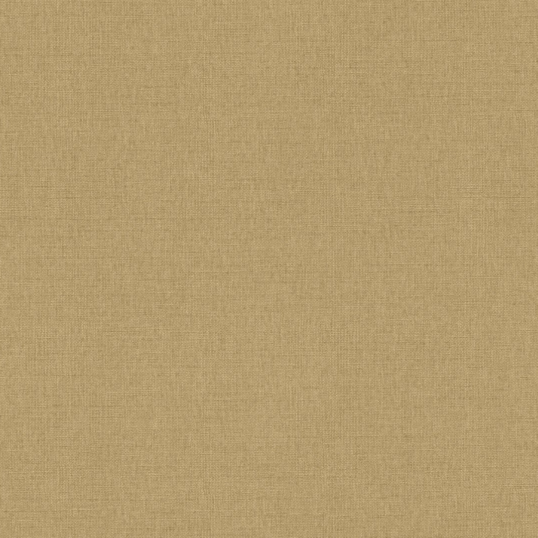 AS399883 Plain Colour Beige Yellow Vibes & Styles Wallpaper by A S Creation