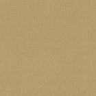 AS399883 Plain Colour Beige Yellow Vibes & Styles Wallpaper by A S Creation